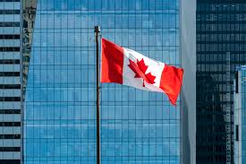 Recognizing and Enforcing Foreign Judgments in British Columbia: Principles and Challenges Under The Common Law